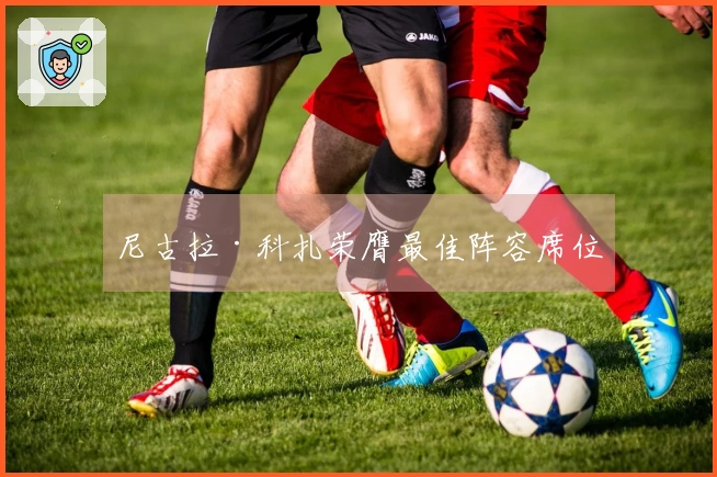 尼古拉·科扎荣膺最佳阵容席位