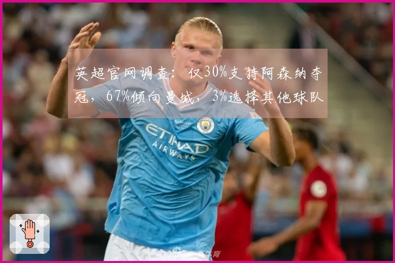 英超官网调查:仅30%支持阿森纳夺冠,67%倾向曼城,3%选择其他球队